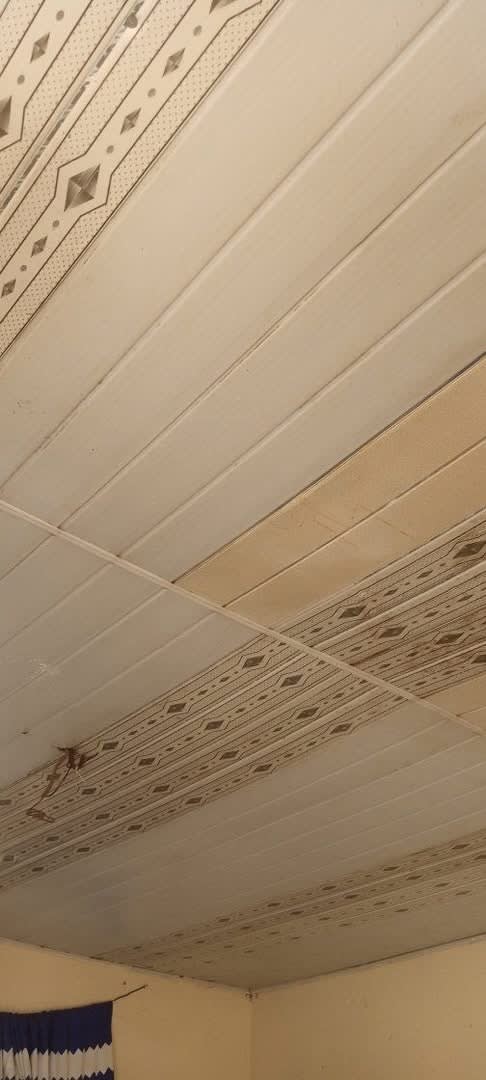 Additional view of Single Room Apartment