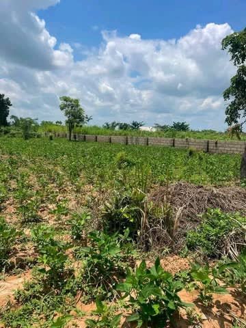 Additional view of Spacious Land at Welfare Quarters