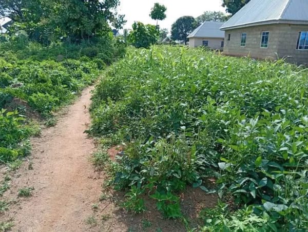 Additional view of Plot of Land for Sale in Gboko