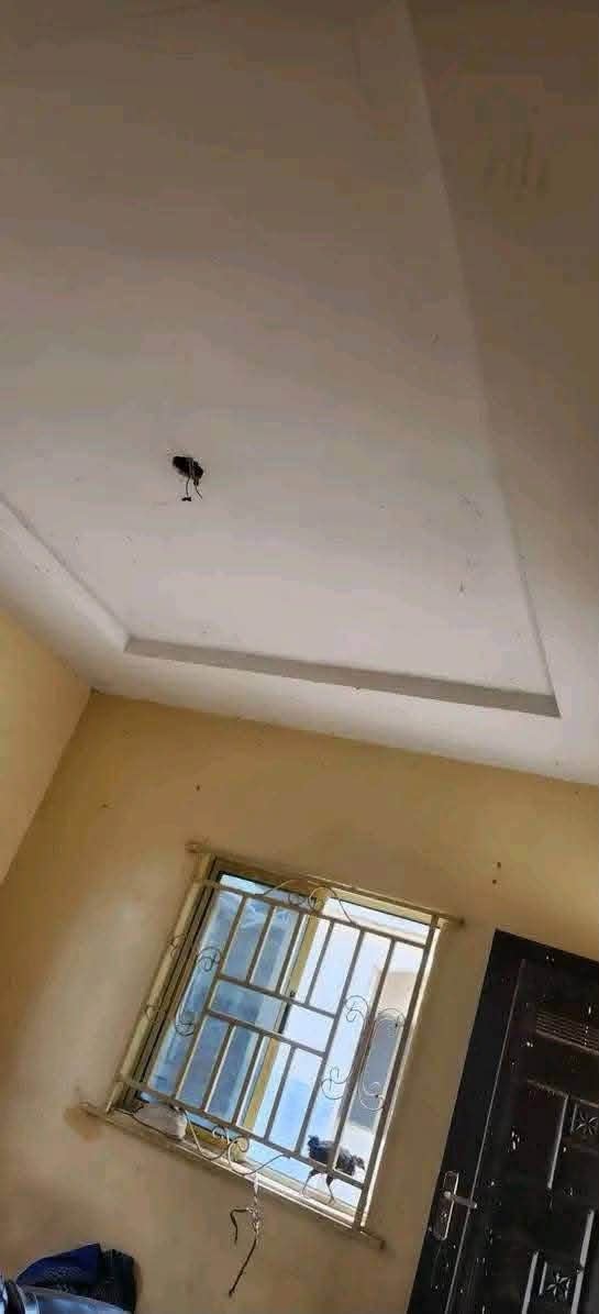 Additional view of Cozy One Bedroom Apartment