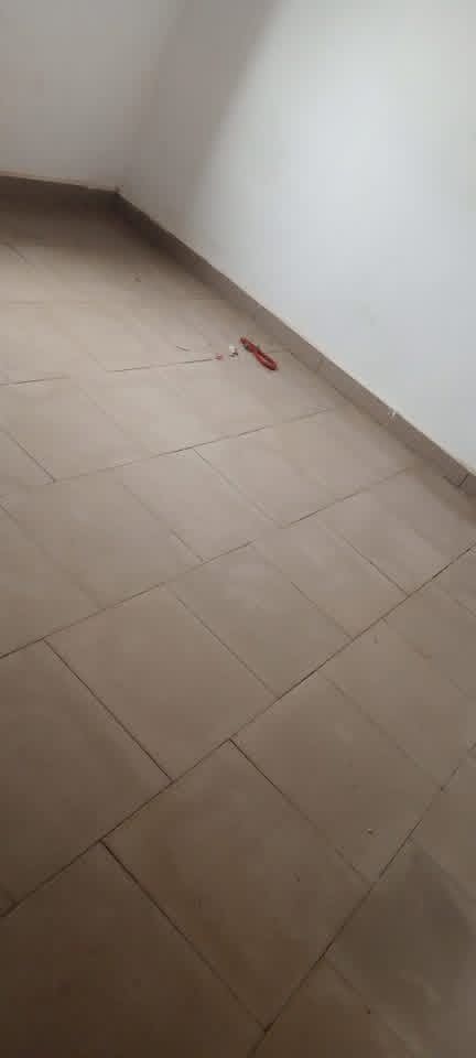 Additional view of Standard One Bedroom Parlor Flat Villa Suite