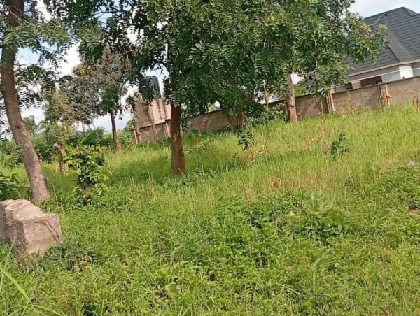 Additional view of Fenced Land for Sale Near St Dennis