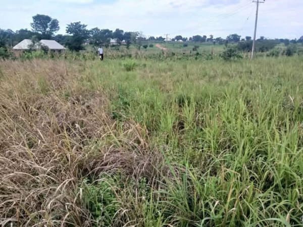 Additional view of Spacious Land Facing Former Ter Makurdi Road