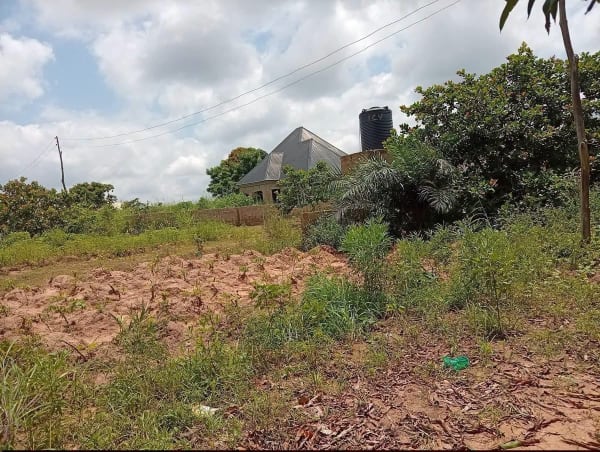 Upland Plot For Sale for sale in Tse Kwembe, Makurdi, Benue