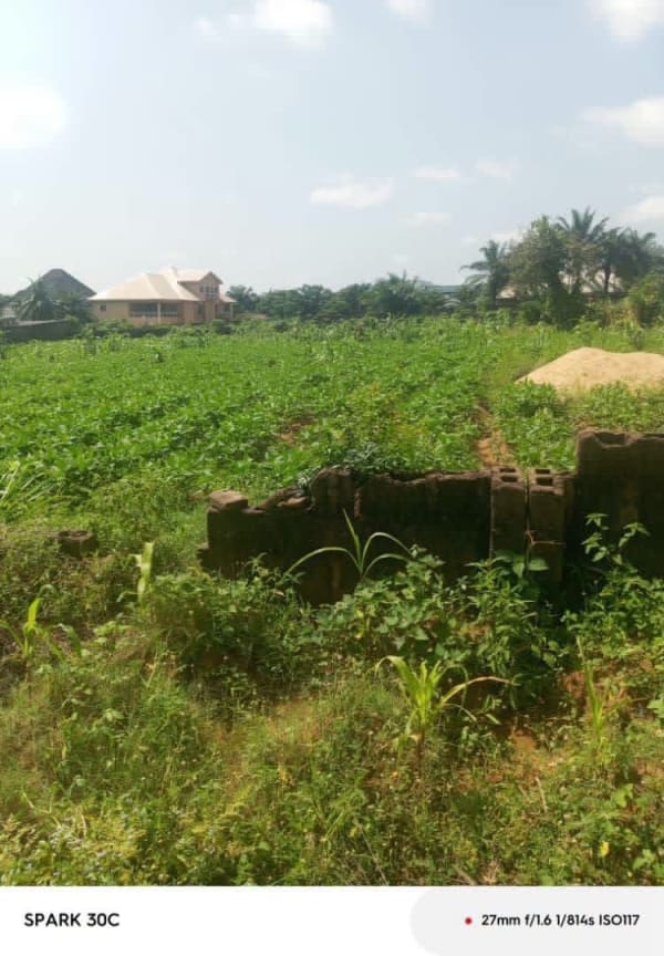 Additional view of Prime Land at CBN Layout