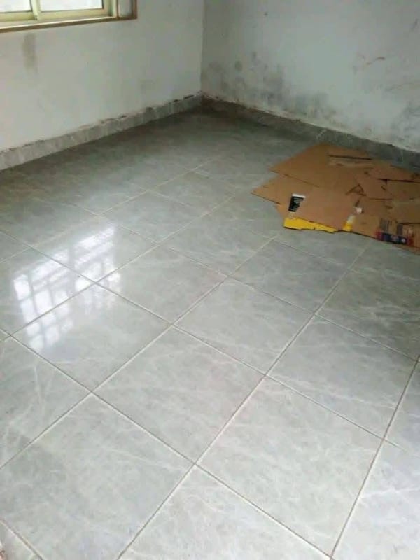Additional view of Spacious Single Room Self-Contain