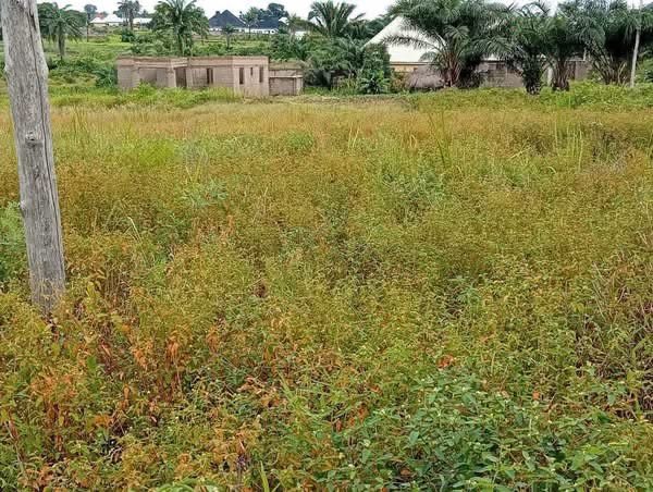 Additional view of Land For Sale