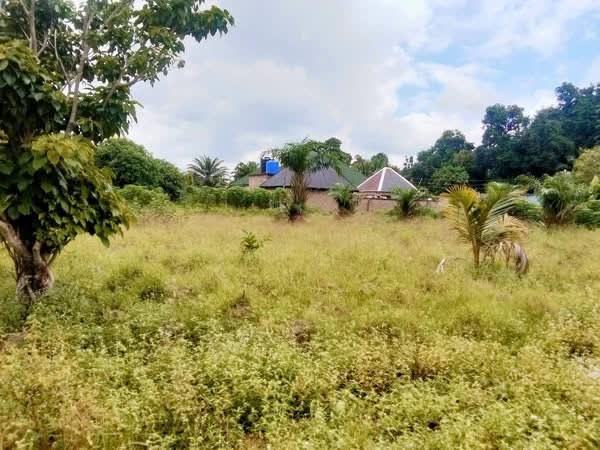 Additional view of Sharp Land for Sale