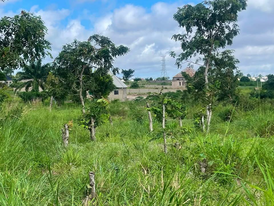 Land Near Tarred Road for sale in Yaikyo, Makurdi, Benue