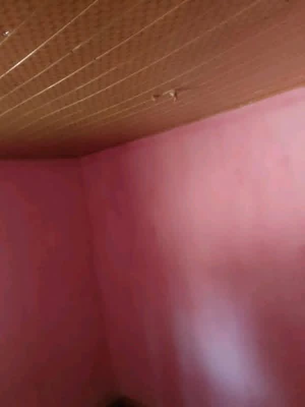 Additional view of Mini Self Contain at Welfare Quarters
