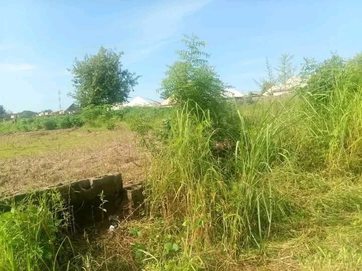 Four Plots of Table Land For Sale for sale in Owner Occupiers Extension Phase 5, Makurdi, Benue