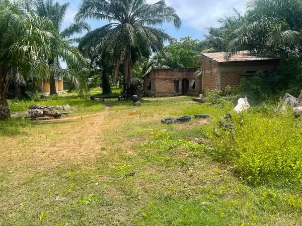 Additional view of 100x100 Plot of Land for Sale