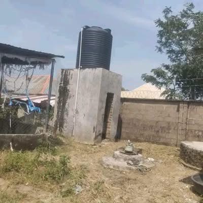 Additional view of Livestock Farm for Sale in Apir