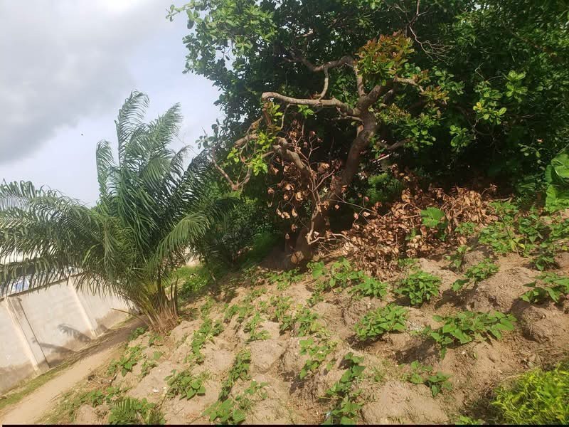 Additional view of Prime Land for Sale in Yaikyo