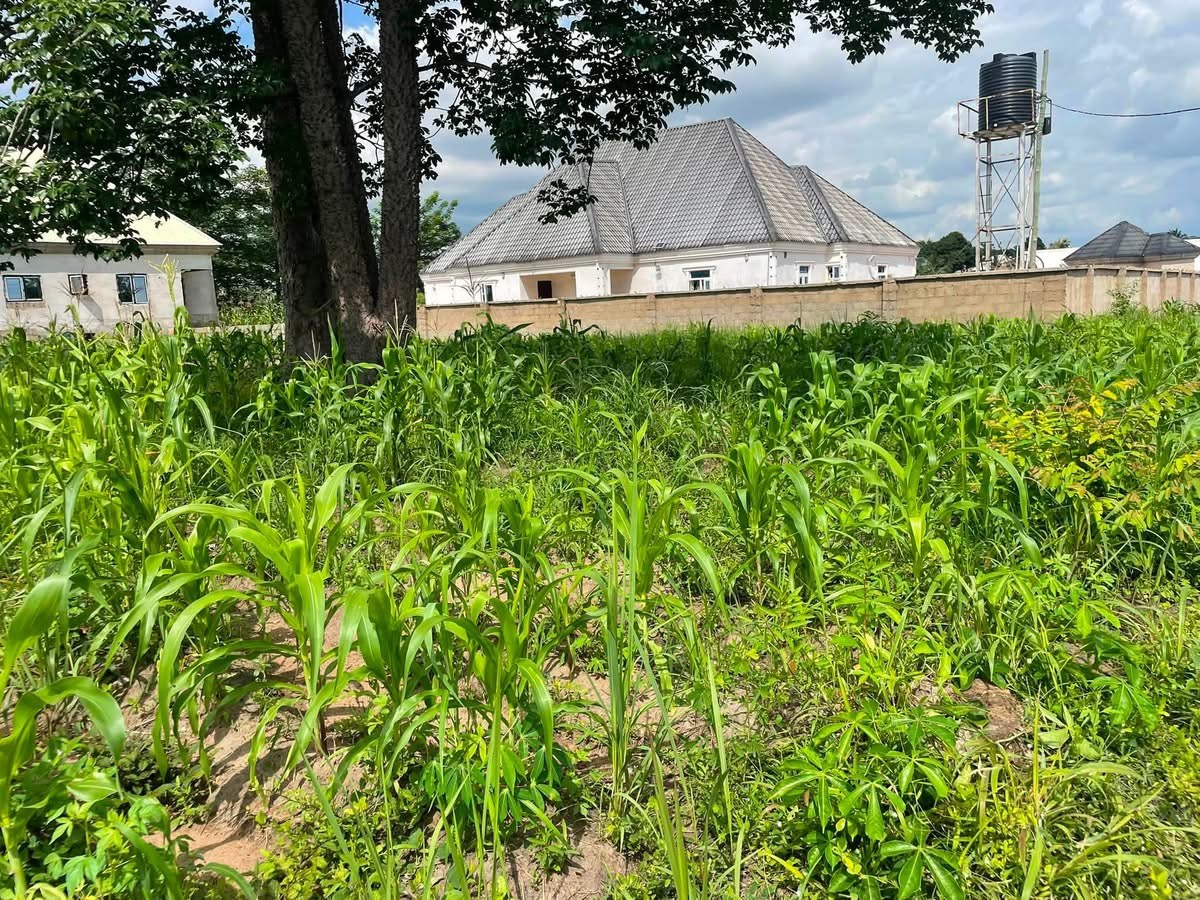 Additional view of Land for Sale at Tse Poor Makurdi