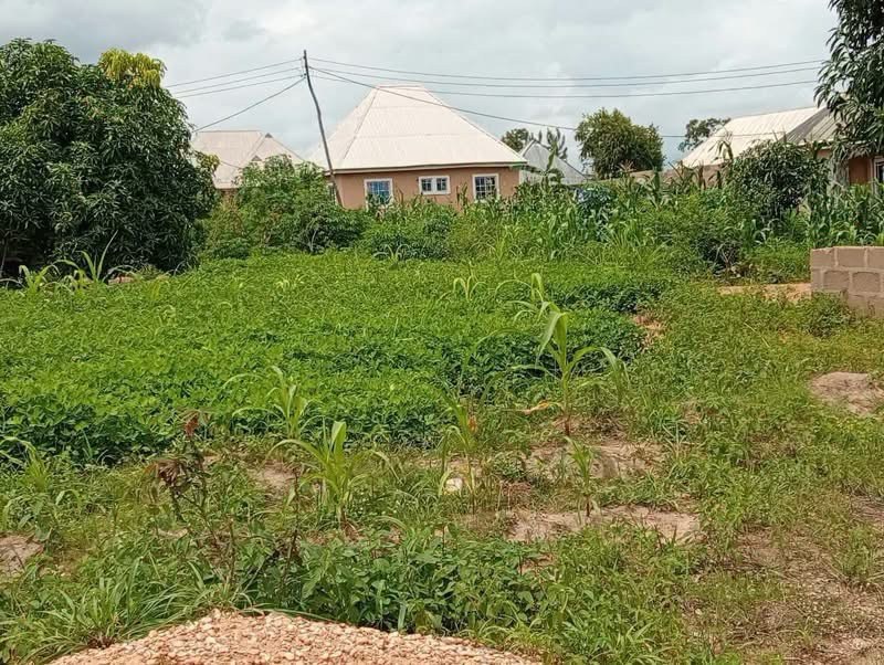 Prime Land for Sale in Yaikyo Makurdi for sale in Yaikyo, Makurdi, Benue