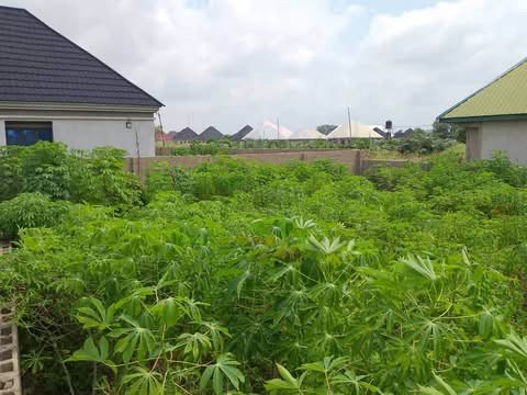 100x50 Plot of Land in Adeke for sale in Adeke, Makurdi, Benue