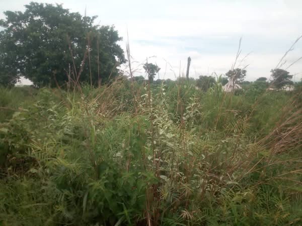 Additional view of Strategic Land for Sale