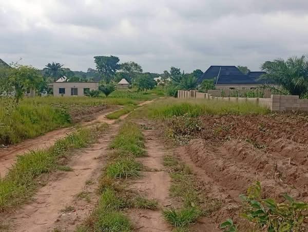 Additional view of Land for Sale in Tse Poor