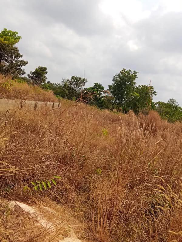 100/100 Plot of Land for Sale for sale in Apir Road, Makurdi, Benue