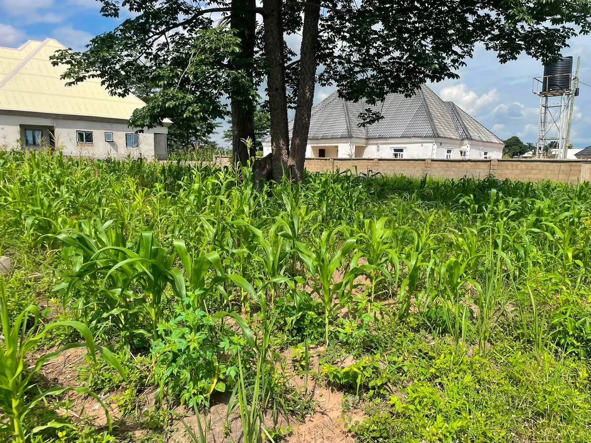 Additional view of Plot of Land for Sale in Tse Poor