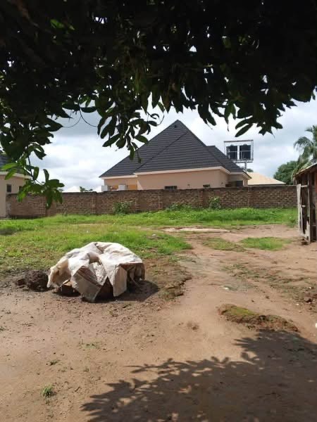 Additional view of Prime Land for Sale at International Market