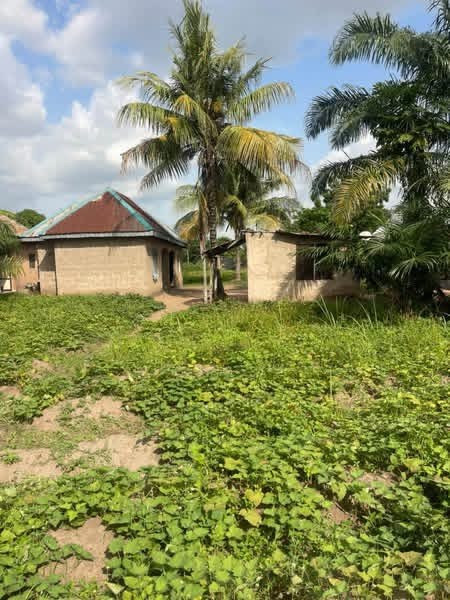 Additional view of 1 Bedroom Apartment with Single Room