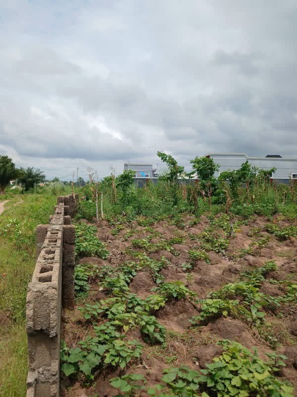 2400sqm Fenced Land for Sale for sale in Yaikyo, Makurdi, Benue