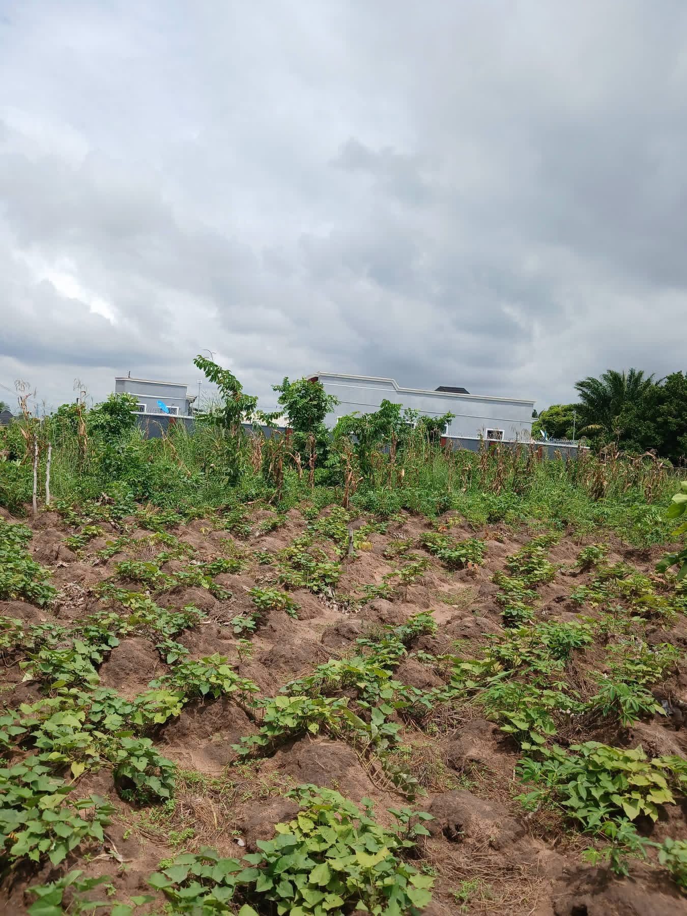Additional view of 2400sqm Fenced Land for Sale