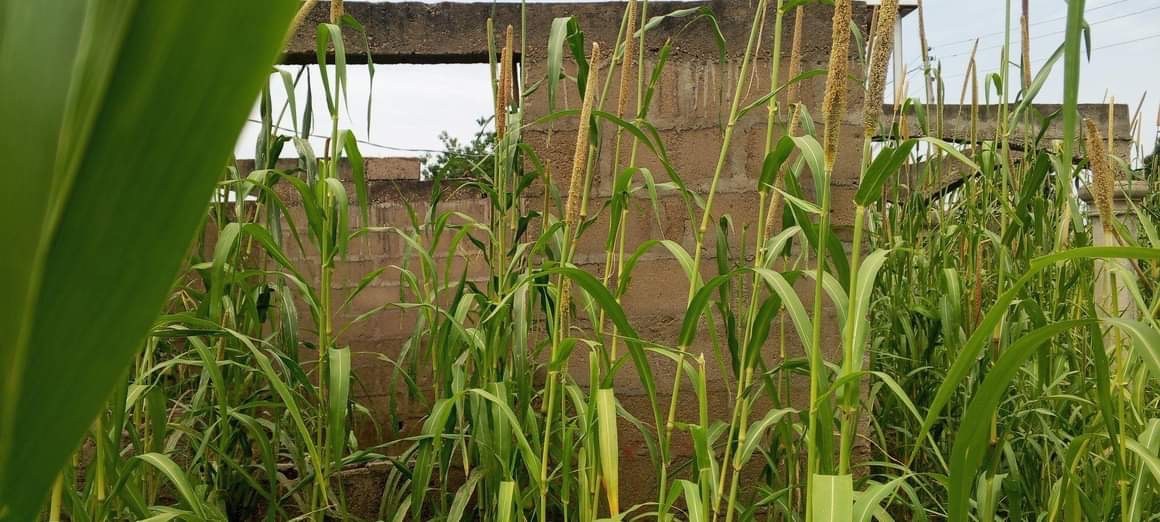 Plot of Land with Unfinished Flat for sale in Federal Housing Estate, Northbank, Makurdi, Benue