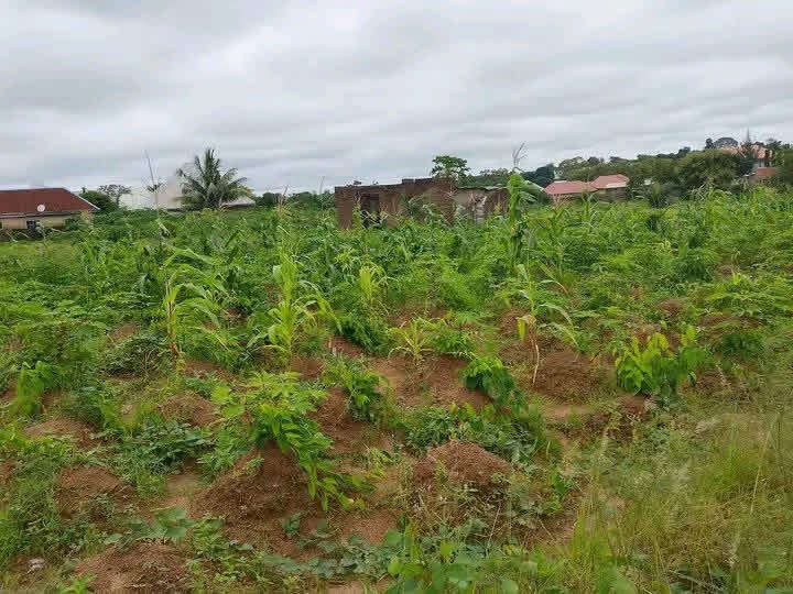 Land for Sale Near Sora School for sale in Behind Sora International School, Gboko, Benue
