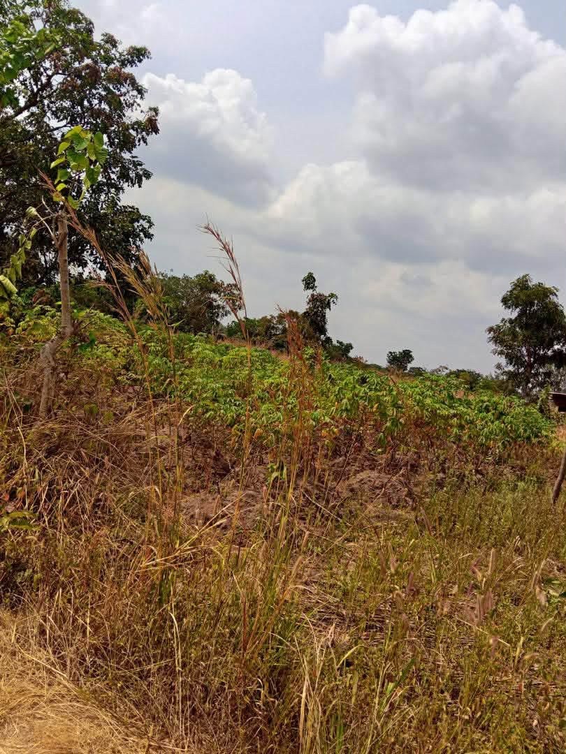 Additional view of 100/100 Plot of Land for Sale