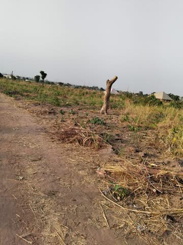 Additional view of Spacious Land for Sale in Makurdi