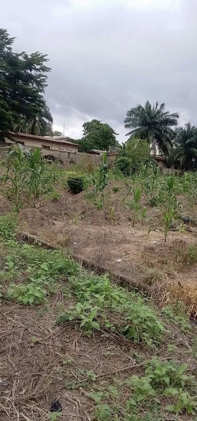 Additional view of Prime Upland Plot for Development