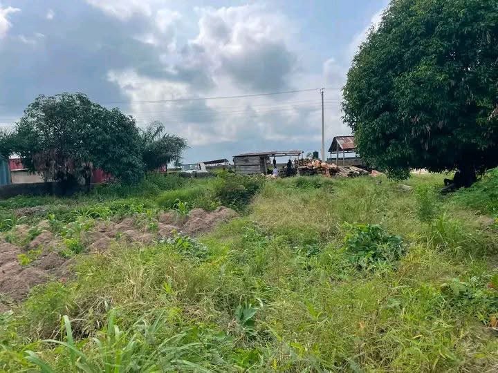 Additional view of Uncompleted Single Room Self-Contained Property