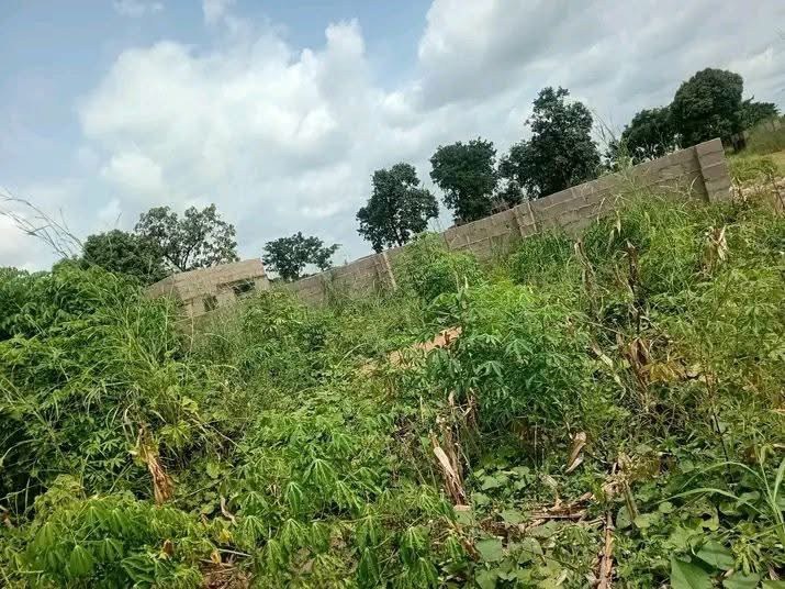 Additional view of Standard 50/50 Plot of Land
