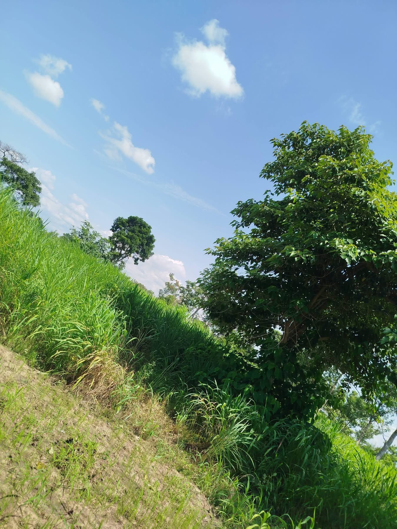 Additional view of Spacious Land for Sale Welfare Quarters