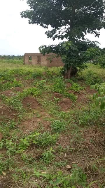 Additional view of Prime Land for Sale Gboko North