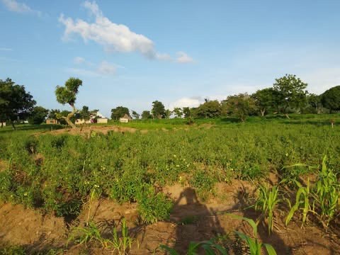 Additional view of Plot of Land for Sale