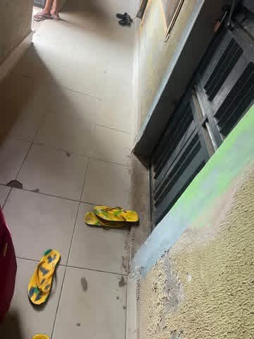 Additional view of One Room Self-Contained Apartment