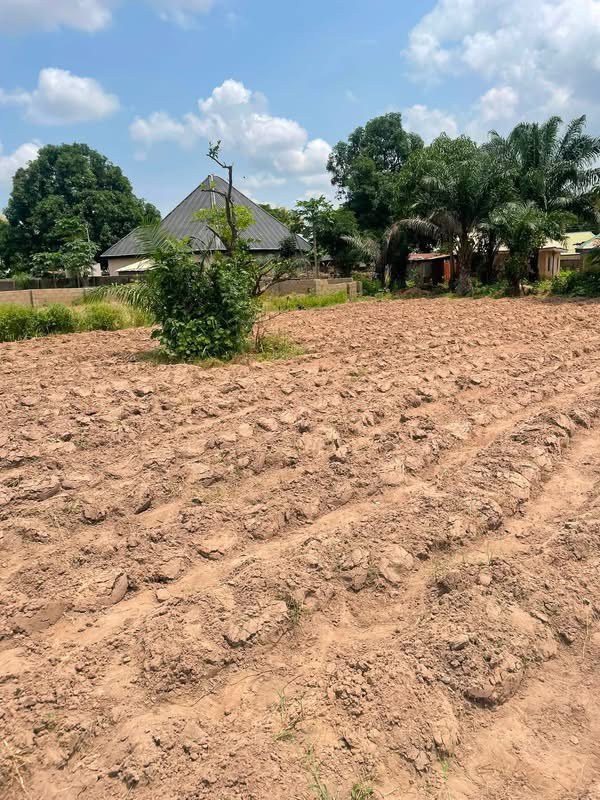 Additional view of Sweet Upland Property for Sale