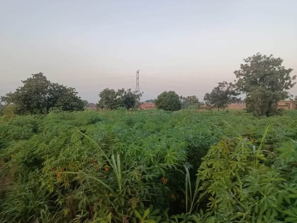 Additional view of Spacious Land for Sale in Yaikyo Makurdi
