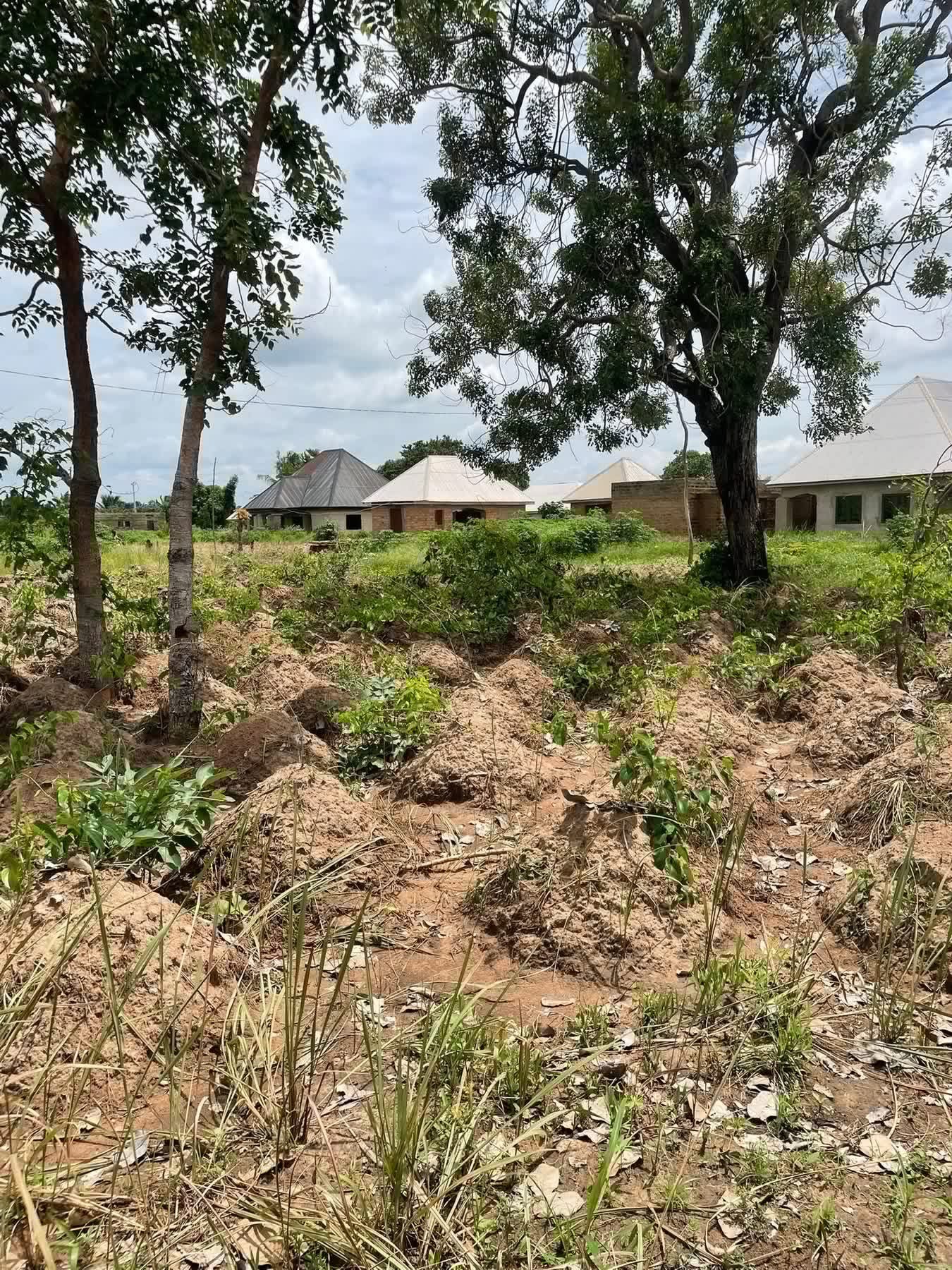 Additional view of 100 by 50 Plot of Land