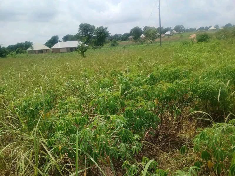 Additional view of Spacious Land for Sale Mbaikya, Makurdi