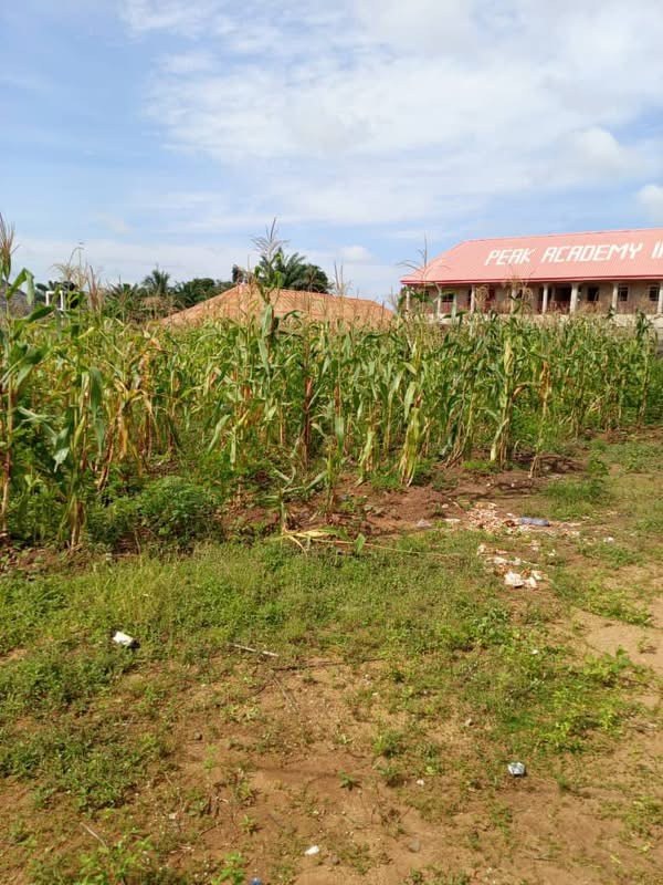 Spacious Land in Welfare Quarters for sale in Welfare Quarters, Makurdi, Benue