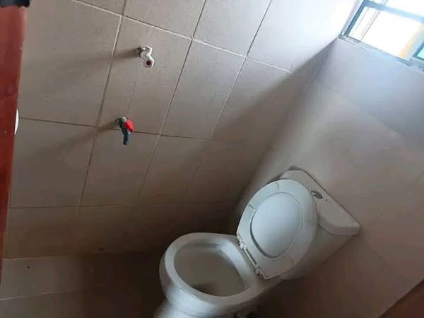 Additional view of One Room Self-Contained Apartment