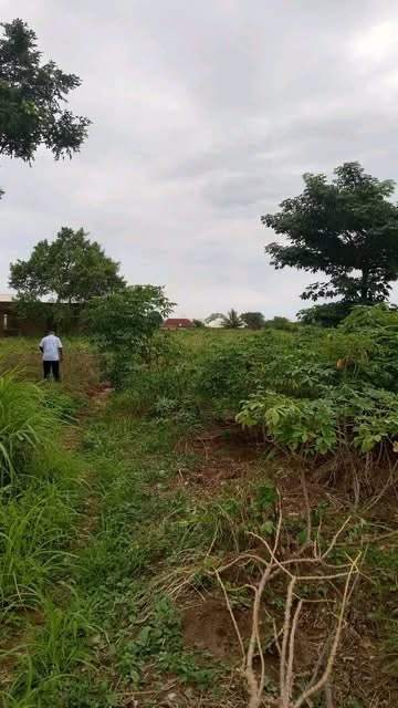 Additional view of Prime Land for Sale Gboko North