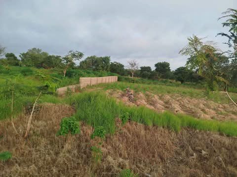 Additional view of Double Plots of Land for Sale