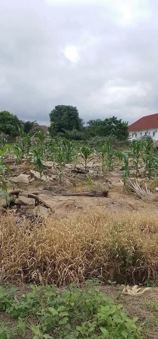 Additional view of Prime Upland Plot for Development