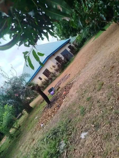 Additional view of Big 2 Bedroom Bungalow with BQ